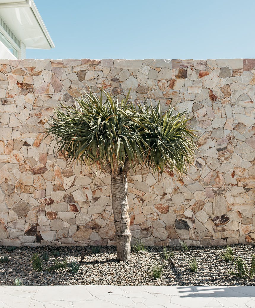 Blog In-article-images New-Lambton-860x1040-4