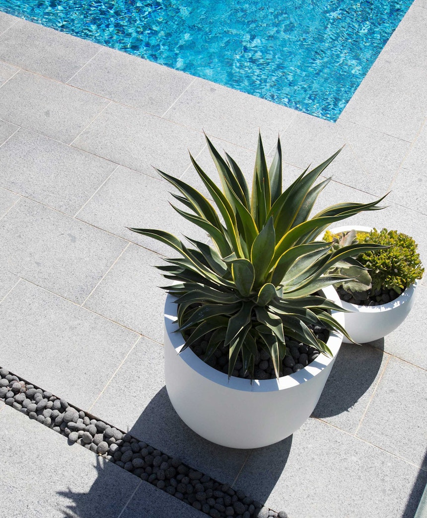 Blog In-article-images top-5-benefits-fibreglass-pots-and-planters-02
