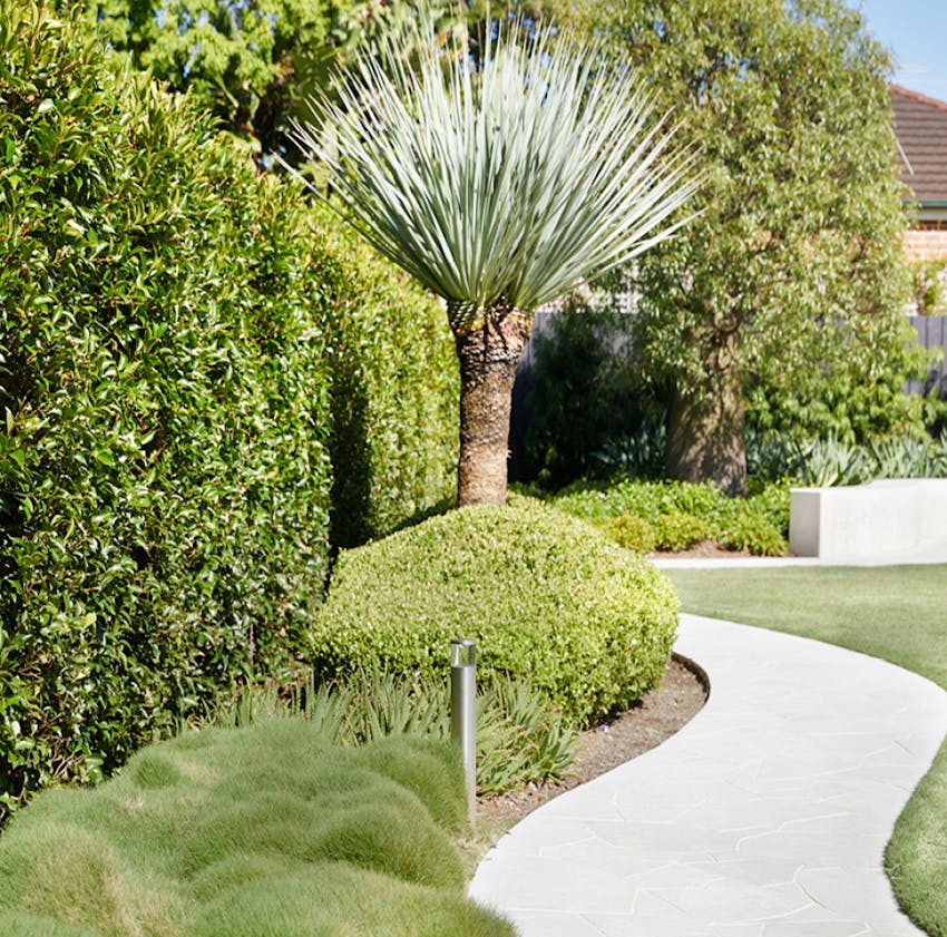 Blog hero-article-images EXOTIC-NURSERIES-Hero