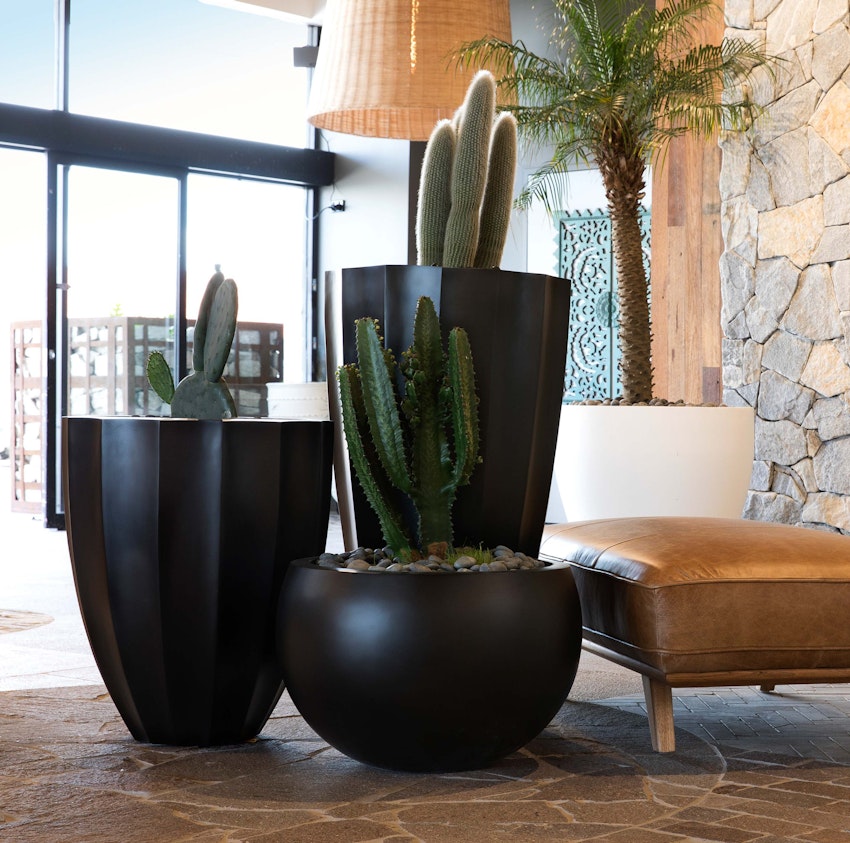 Blog hero-article-images top-5-benefits-fibreglass-pots-and-planters