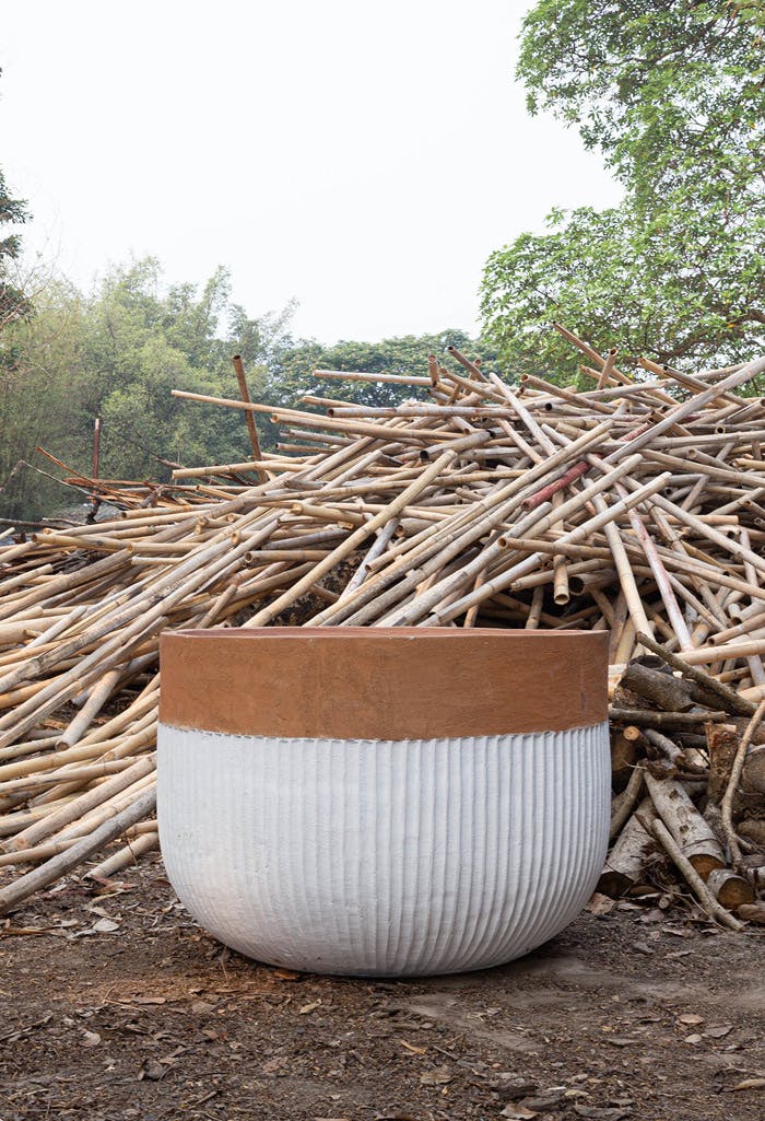 Decor Landare Gallery Decor-Landare-Banksia-HalfNaked2