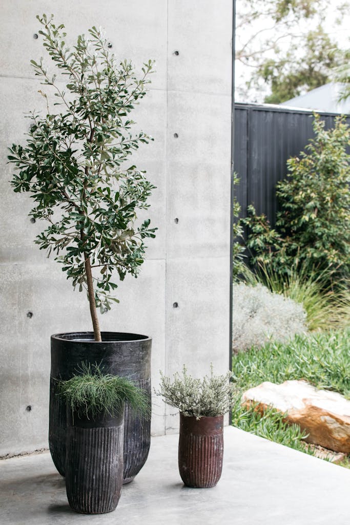 Decor Landare Gallery banksia-copper-01