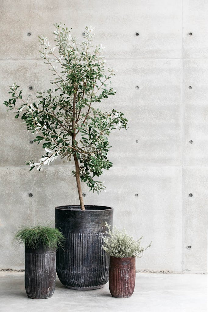 Decor Landare Gallery banksia-copper-05
