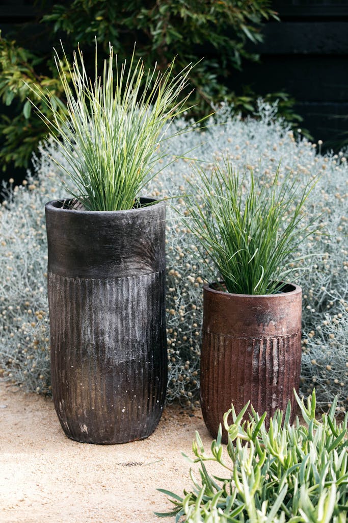 Decor Landare Gallery banksia-copper-08