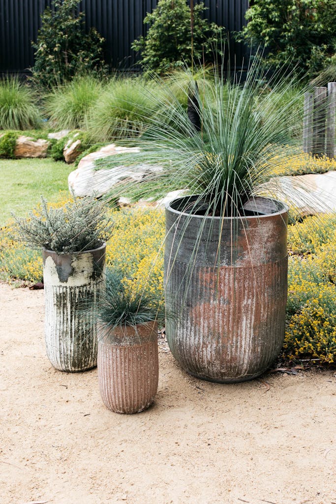 Decor Landare Gallery banksia-green-02