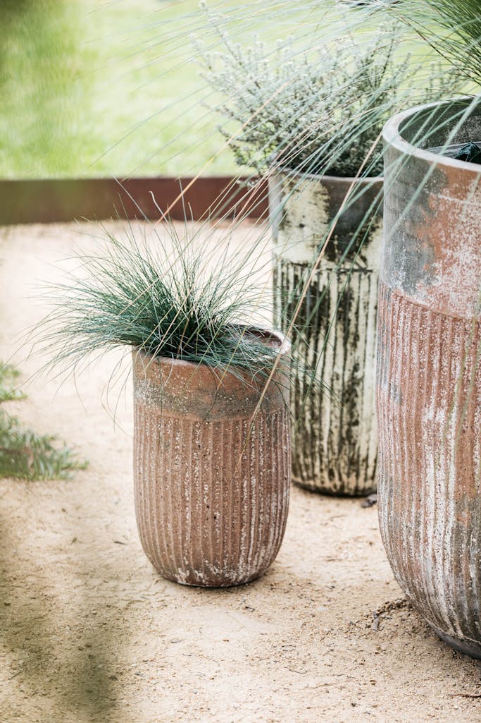 Decor Landare Gallery banksia-green-03