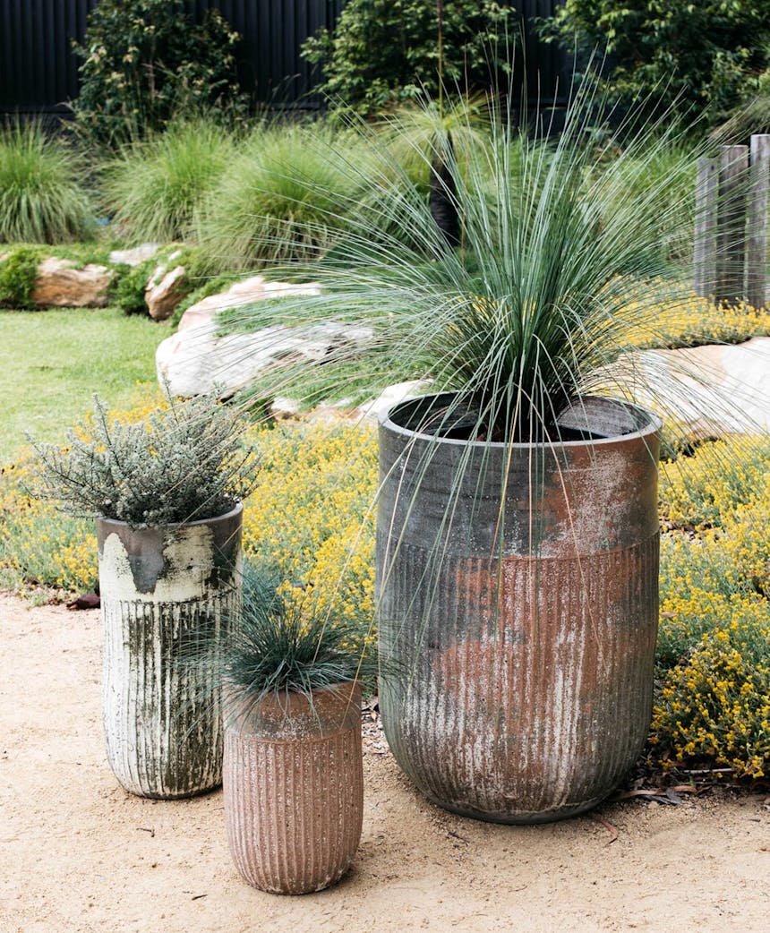 Decor Landare category-page-image landare-pots-category-image