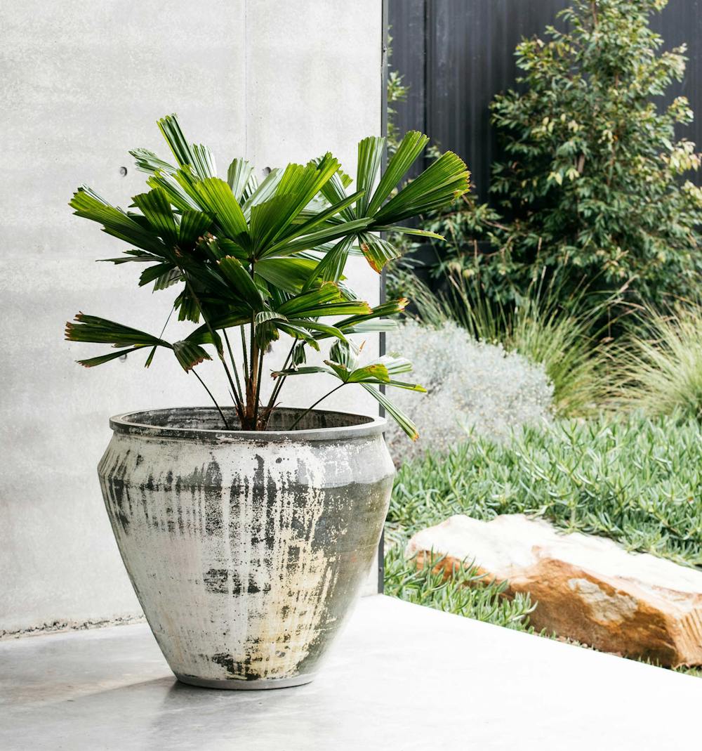 Decor Landare menu-image landare-outdoor-pots