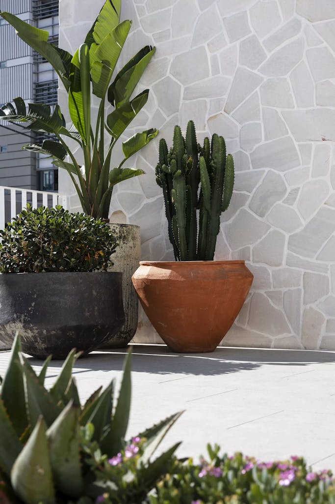 Products-Wall culburra-organic-wall-cladding-gallery1